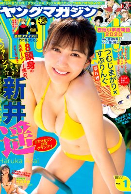 Haruka Arai 新井遥, Young 杂志 2021 No.01 (ヤングマガジン 2021年01号)
