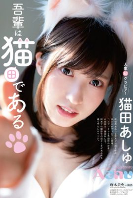 Ashu Nekota 猫田あしゅ, Young Animal 2021 No.05 (ヤングアニマル 2021年5号)