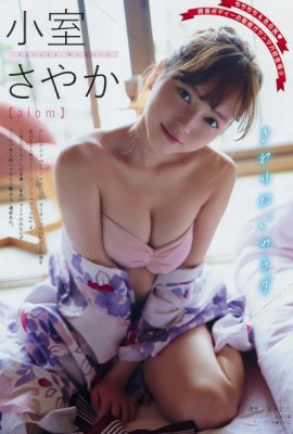 Sayaka Komuro 小室さやか, Young 杂志 2019 No.31 (ヤングマガジン 2019年31号)