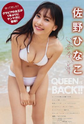 Hinako Sano 佐野ひなこ, Young 杂志 2019 No.38 (ヤングマガジン 2019年38号)