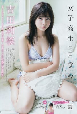 Rio Yoshida 吉田莉桜, Young Gangan 2019 No.18 (ヤングガンガン 2019年18号)