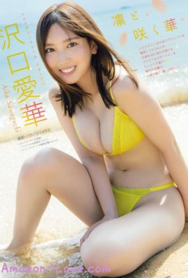 Aika Sawaguchi 沢口愛華, Young 杂志 2023 No.50 (ヤングマガジン 2023年50号)