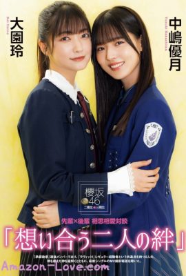 櫻坂46 日向坂46, ENTAME 2023.12 (月刊エンタメ 2023年12月号)