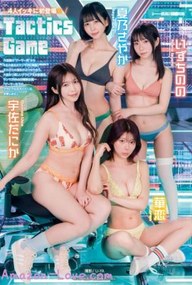 夏乃さやか いずちのの 宇佐だにか 華恋, Young 杂志 2024 No.09 (ヤングマガジン 2024年9号)