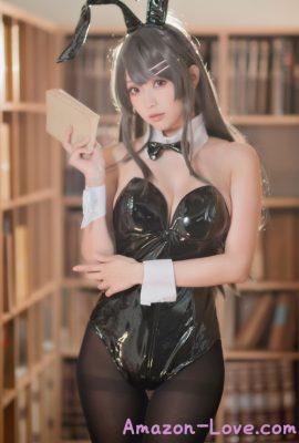 Cosplay ElyEE子 麻衣学姊