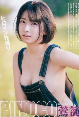 PINOCO ぴのこ, Young Jump 2019 No.46 (ヤングジャンプ 2019年46号)