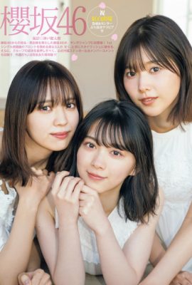 渡邉理佐, 小林由依, 森田ひかる, Young Jump 2021 No.02 (ヤングジャンプ 2021年2号)