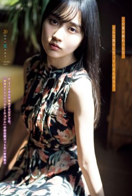 Haruka Kaki 賀喜遥香, Young 杂志 2021 No.36-37 (ヤングマガジン 2021年36-37号)