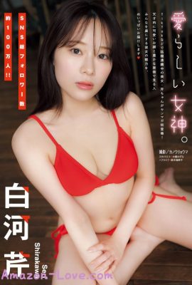 Seri Shirakawa 白河芹, Young 杂志 2024 No.16 (ヤングマガジン 2024年16号)
