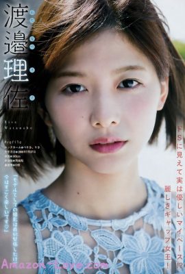 渡邉理佐 菅井友香, Young 杂志 2017 No.31 (ヤングマガジン 2017年31号)