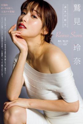 Reina Sumi 鷲見玲奈, Young 杂志 2022 No.23 (ヤングマガジン 2022年23号)