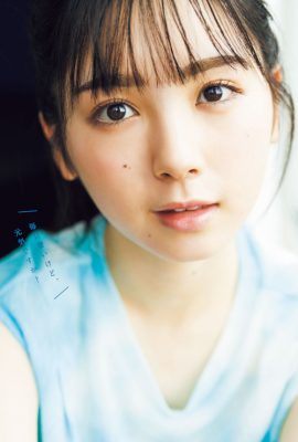 Ayame Tsutsui 筒井あやめ, Young 杂志 2022 No.34 (ヤングマガジン 2022年34号)
