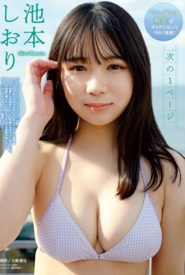 Shiori Ikemoto 池本しおり, Young 杂志 2023 No.01 (ヤングマガジン 2023年1号)