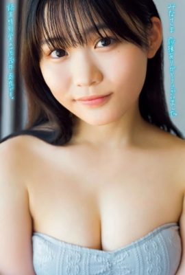 Sora Omoi 尾茂井奏良, Young 杂志 2024 No.41 (ヤングマガジン 2024年41号)