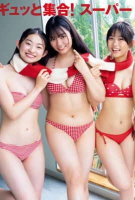 一ノ瀬瑠菜 加藤綾乃 吉井しえる 尾茂井奏良 大西陽羽 古田彩仁, Young 杂志 2025 No.02-03 (ヤングマガジン 2025年2・3号)