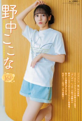 Kokona Nonaka 野中ここな, Young Dragon Age ヤングドラゴンエイジ 2025.01