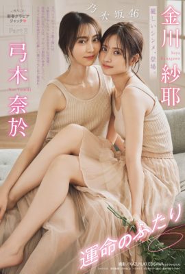 金川紗耶・弓木奈於, Young 杂志 2024 No.50 (週刊ヤングマガジン 2024年50号)