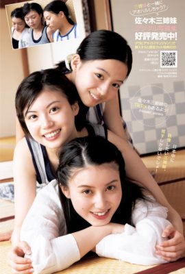 佐々木三姉妹, Young Jump 2025 No.12 (ヤングジャンプ 2025年12号)