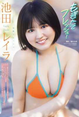 Layla Ikeda 池田レイラ, Young 杂志 2025 No.21 (ヤングマガジン 2025年21号)