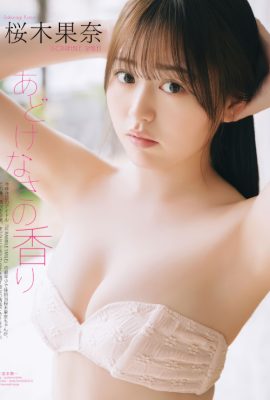 Kana Sakuragi 桜木果奈, BOMB Love Special 2025 ＃1