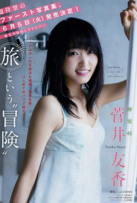 Yuuka Sugai 菅井友香, Young 杂志 2018 No.20 (ヤングマガジン 2018年20号)