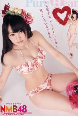 Sayaka Yamamoto 山本彩, Young Animal 2012 No.04 (ヤングアニマル 2012年4号)