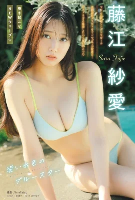 Sara Fujie 藤江紗愛, Young 杂志 2025 No.50 (ヤングマガジン 2025年50号)